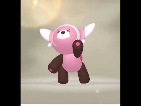 かわいいポケモン、ヌイコグマ