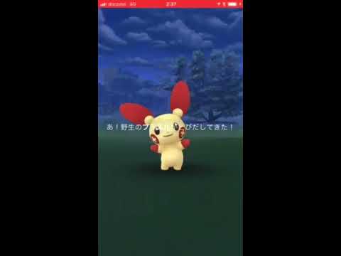 プラスル色違いゲットの瞬間 ポケモンGO