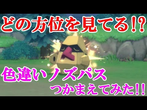 【ダイパリメイク】どの方位を見てる！？色違いノズパスつかまえてみた！！