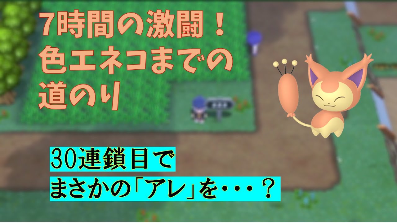 【ポケモンBDSP】色エネコがなんとしても欲しかった男の末路
