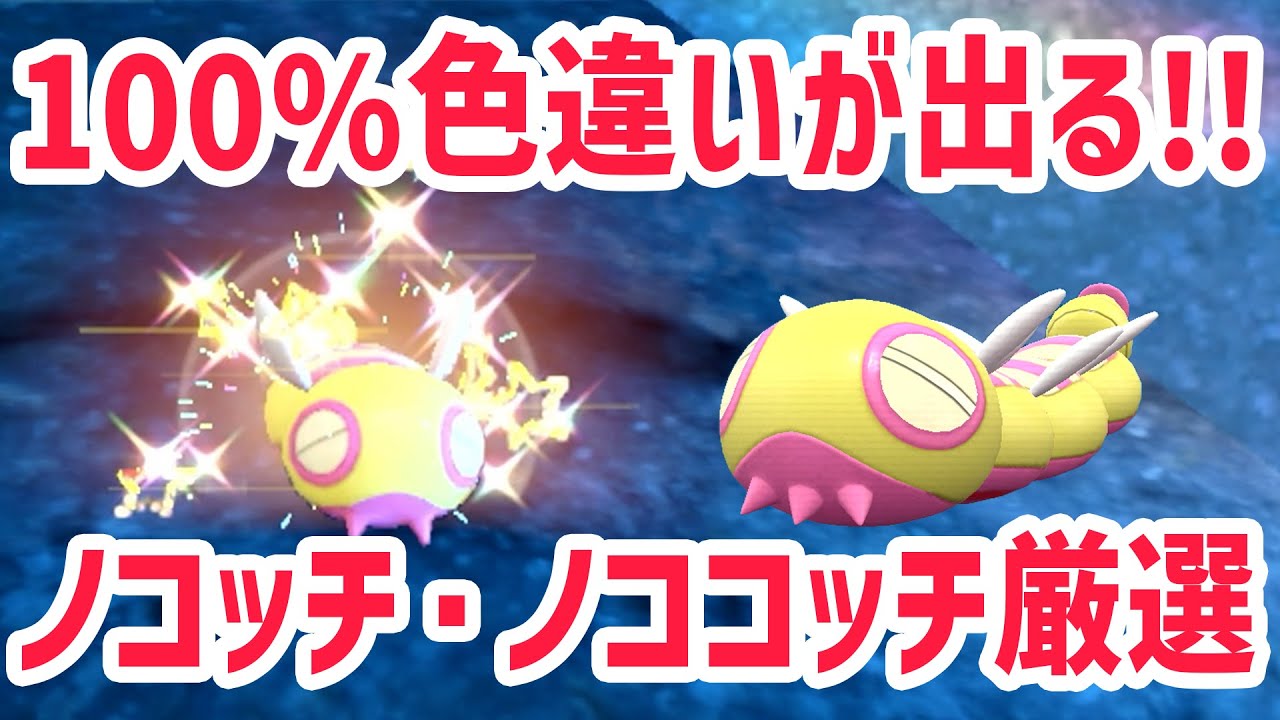 最速で色違いノコッチ・ノココッチを出す色違い厳選の方法！【 ポケモンSV スカバイ 解説 】