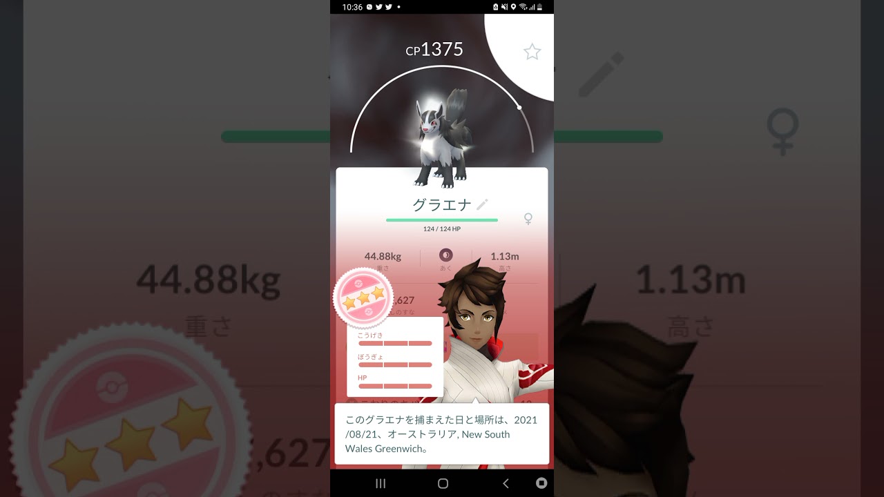I caught a 4 star Mightyena 星４のグラエナ捕まえた！