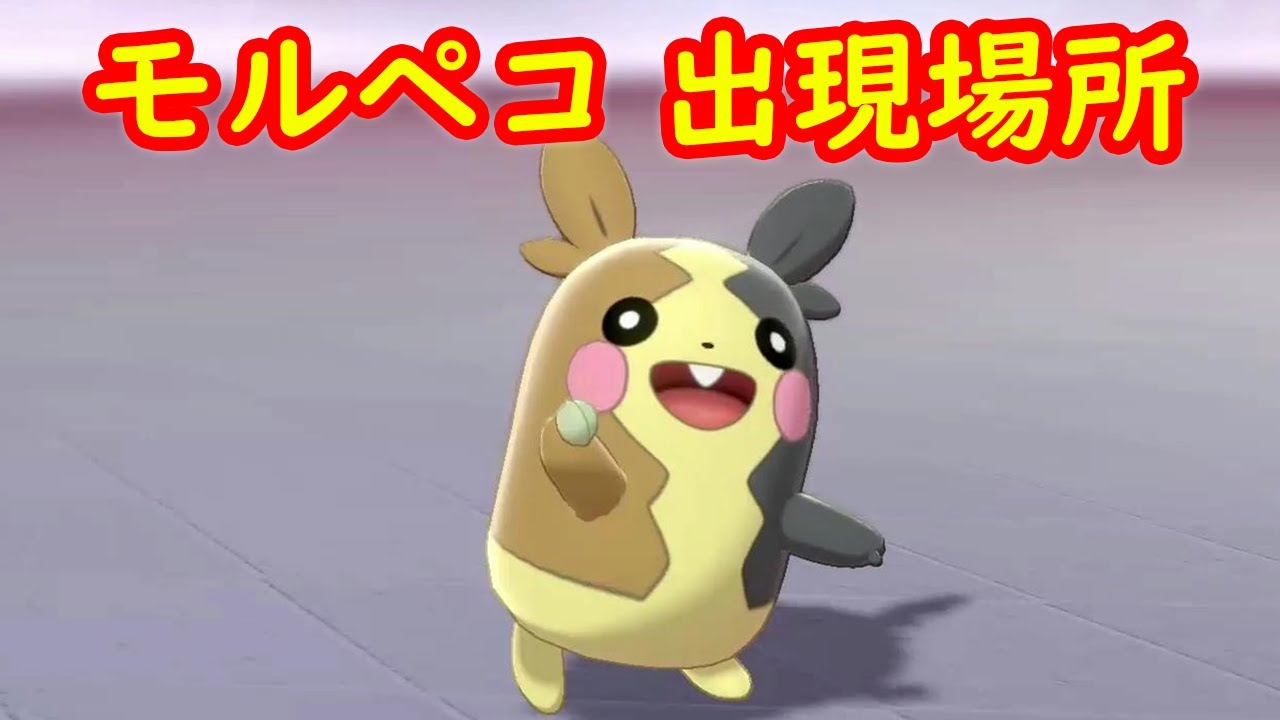 【モルペコ】入手方法 出現場所 攻略 + キャンプで遊ぶ【ポケモン ソード シールド ポケモン剣盾】