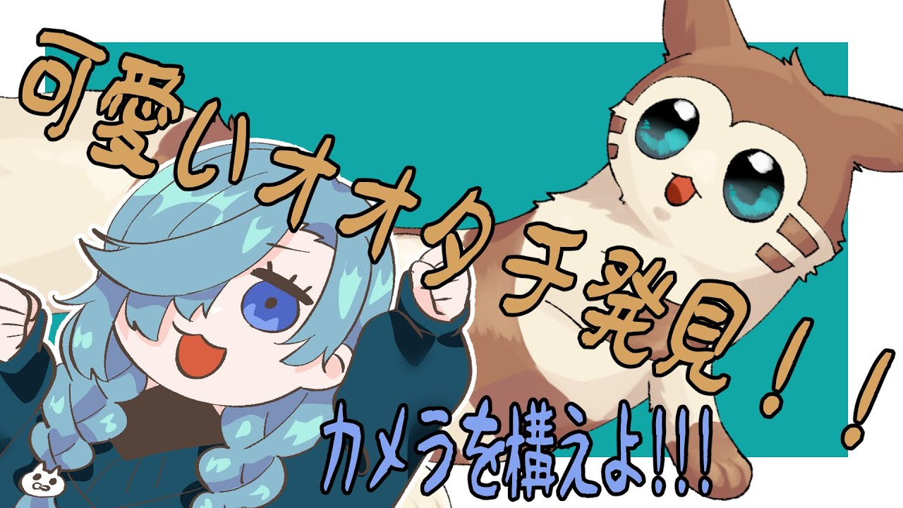 【オオタチ】オオタチの写真を撮ります【スナップ】