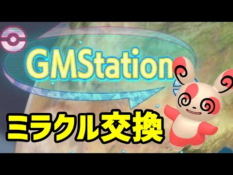 パッチール1BOX分をGMSに流してみた！【ポケモンBDSP】