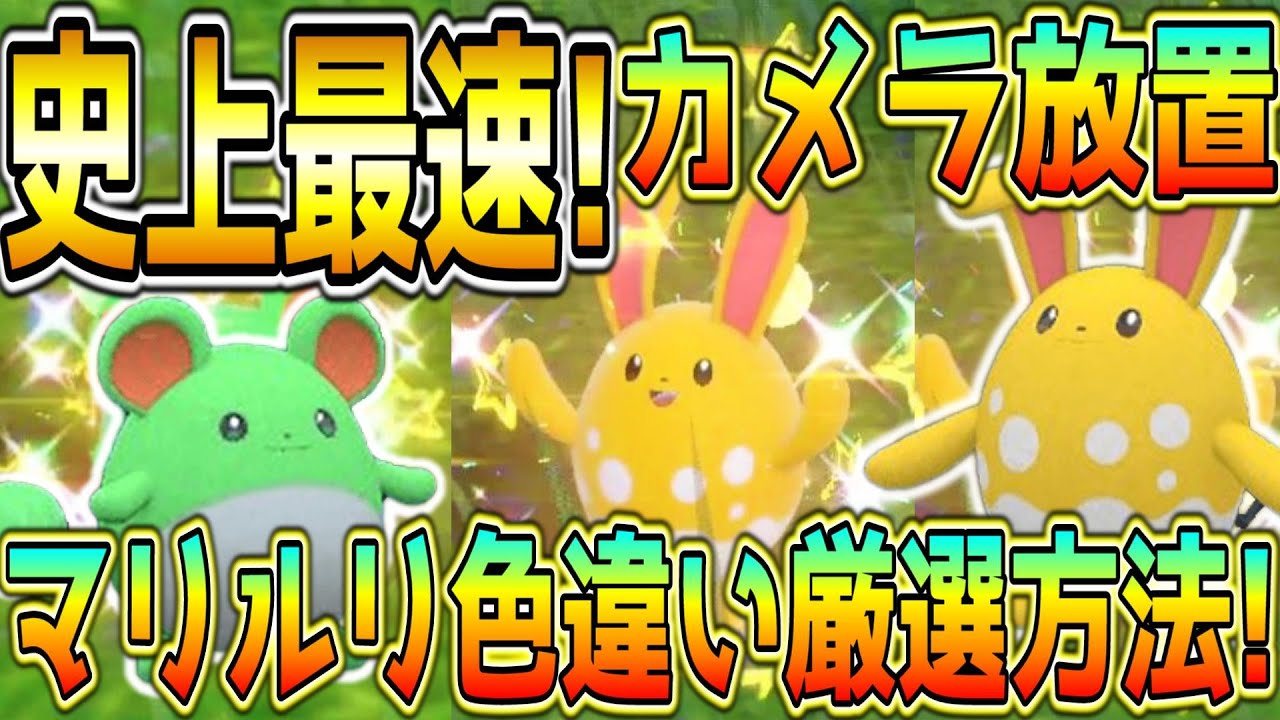 カメラ放置！史上最速のマリル・マリルリ色違い厳選方法！【ポケモンSV】