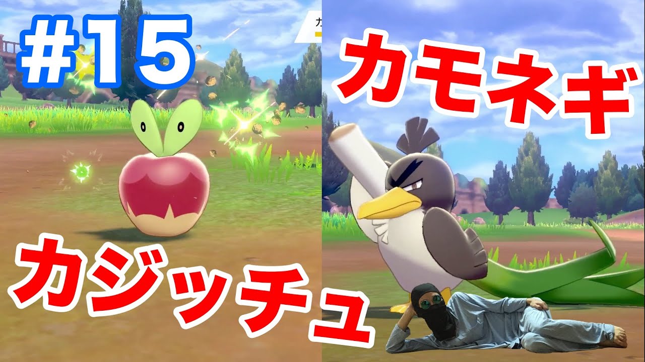 #15【ポケモンソード】5番道路でインタビュアーと対戦！新ポケモン"カジッチュ"やガラルの姿"カモネギ"も登場！【最新作の攻略実況プレイ】