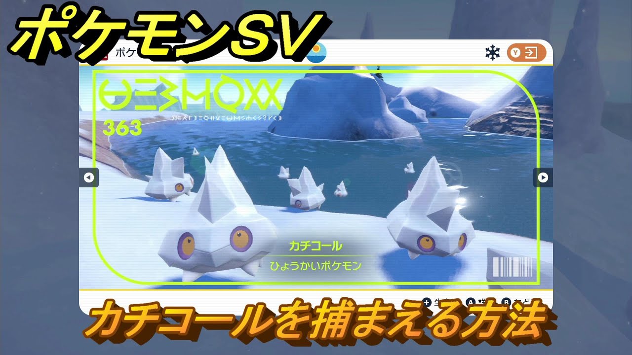 ポケモンＳＶ　カチコールを捕まえる方法！出現場所は？図鑑No.３６３　ポケモン図鑑を埋めよう！　【スカーレット・バイオレット】