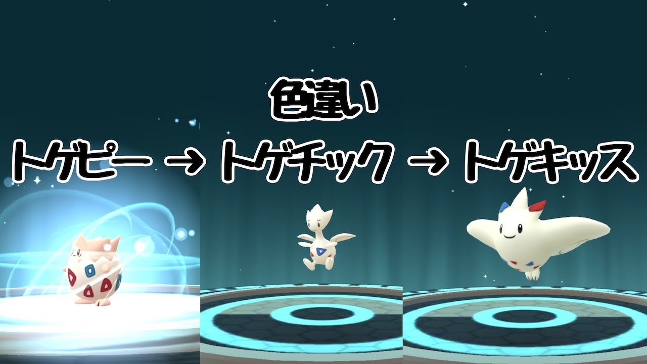 【ポケモンGO】色違い進化　トゲピー→トゲチック→トゲキッス