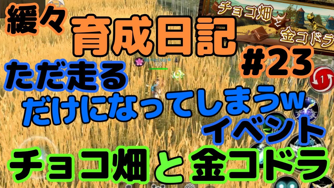 【育成アヴァベル】バレンタインイベント！報酬が凄い！チョコ畑と金コドラ