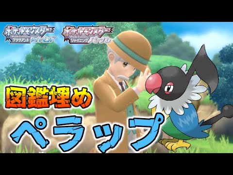 【図鑑埋め】ペラップ持ちトレーナー紹介【ポケモンBDSP/ダイパリメイク】