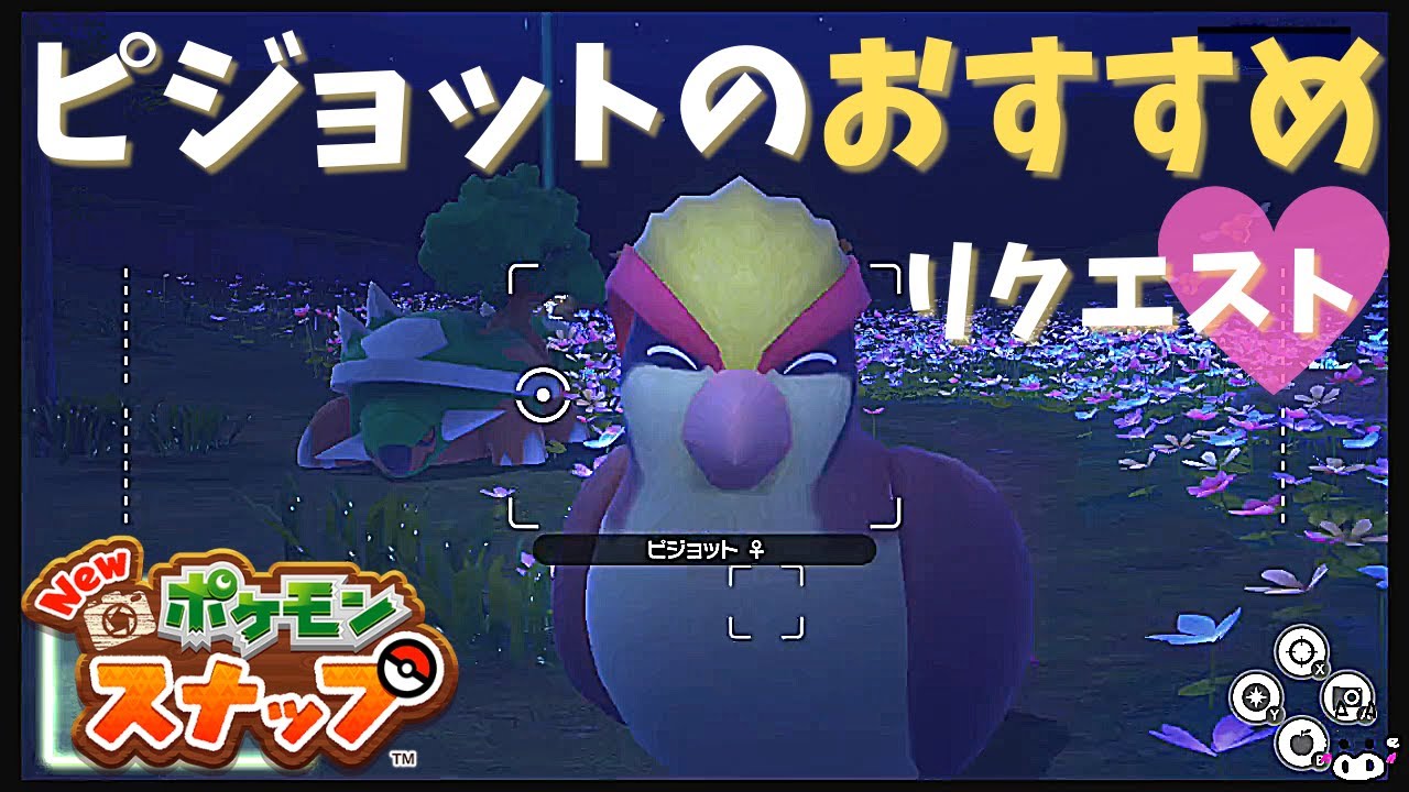 【リクエスト】ピジョットの意外な行動にドキドキ♡おすすめです【New! ポケモンスナップ】