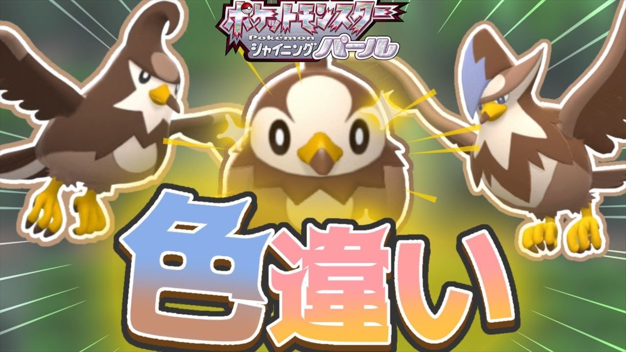 【ポケモンBDSP】色違いのムックルが欲しい！ムクバードが欲しい！ムクホークが欲しい！！【ゆっくり実況】～ダイパリメイクPART2～