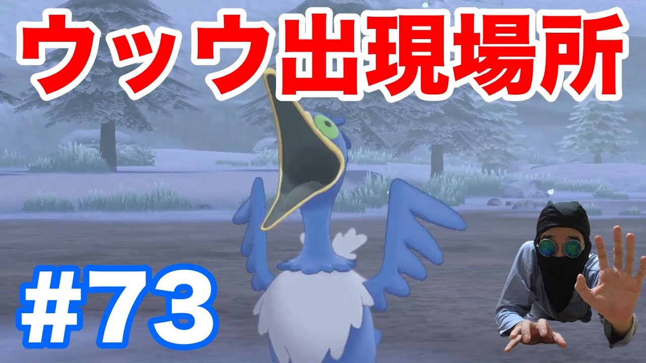 #73【ポケモンソード】新ポケモン"ウッウ"の出現場所・条件！進化はする？特性が強い？【最新作の攻略実況プレイ】