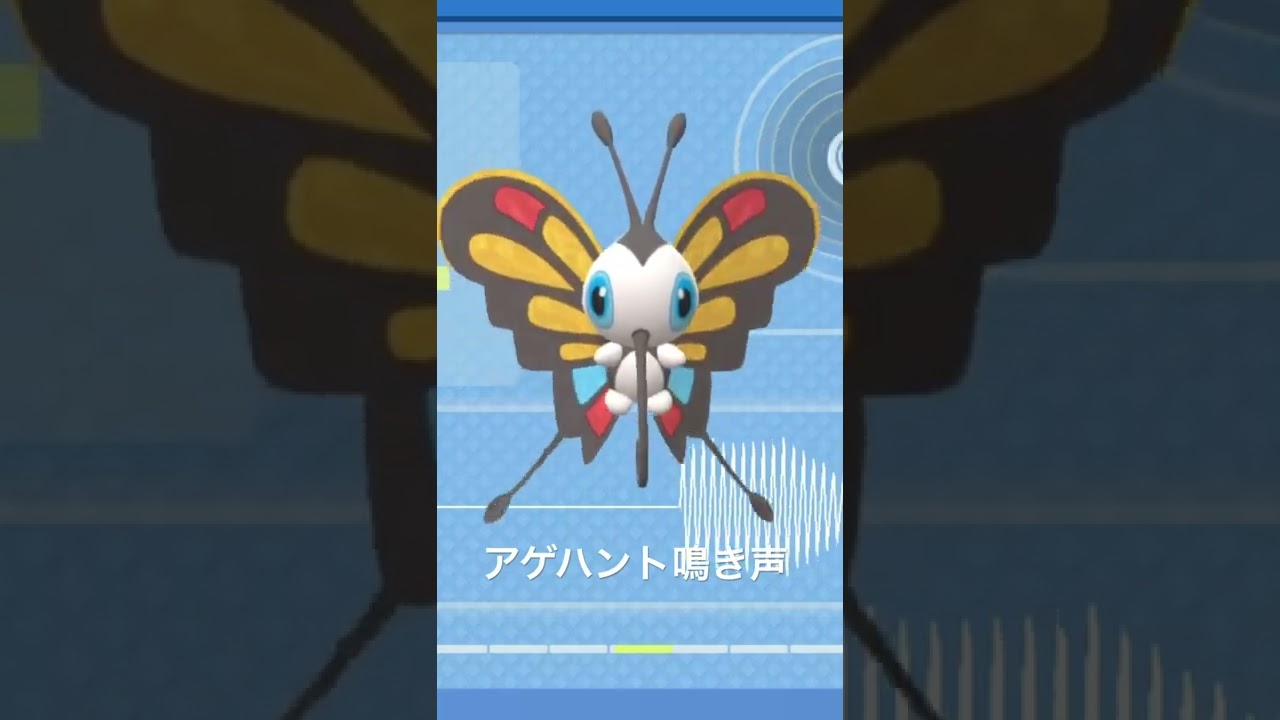 BDSP【シンオウ図鑑NO050】アゲハント鳴き声#ポケモン鳴き声 #図鑑コンプ #ブリリアントダイヤモンド #シャイニングパール#ポケモン生態#第四世代鳴き声#Beautifly