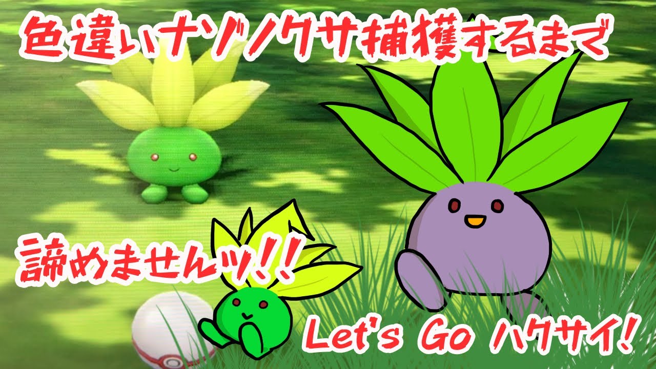 【Let’s Go ピカチュウ】ナゾノクサの色違いを粘った結果。これが現実です。【色違い】