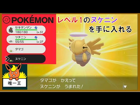 【小話】レベル1のヌケニンを手に入れる