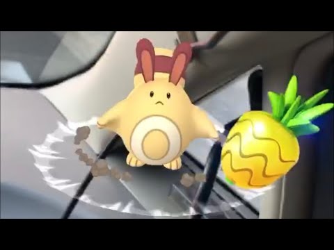 ポケモンGO 色違い　オタチ