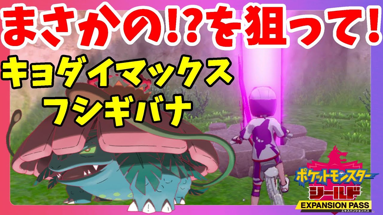 【ポケモンソードシールド】ついにきた？キョダイマックスフシギバナの巣を狙ってみた結果！鎧の孤島【エキスパンションパス第1弾】