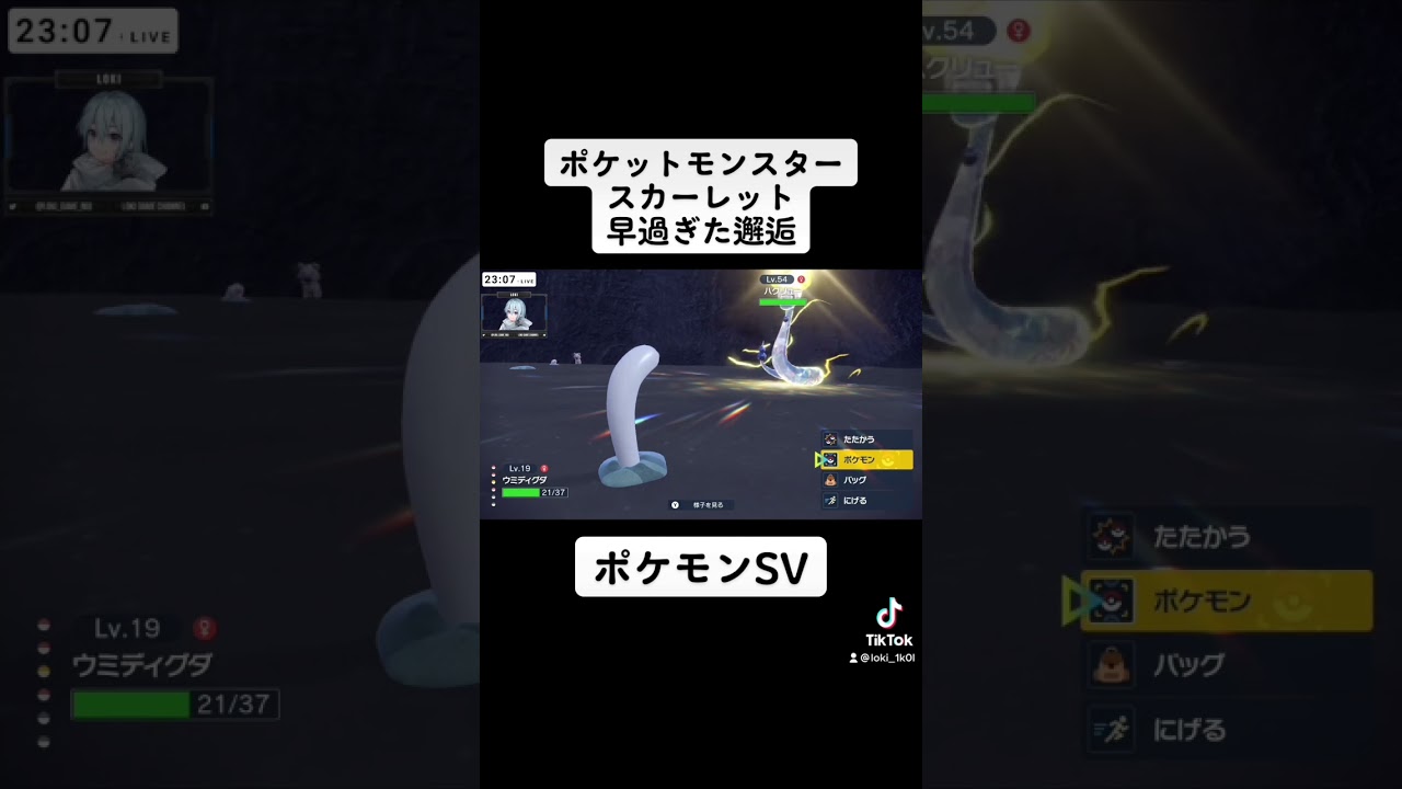 【ポケットモンスタースカーレット】ハクリューさんへの面会は早過ぎたし、許してくれなかった話【ポケモンSV】