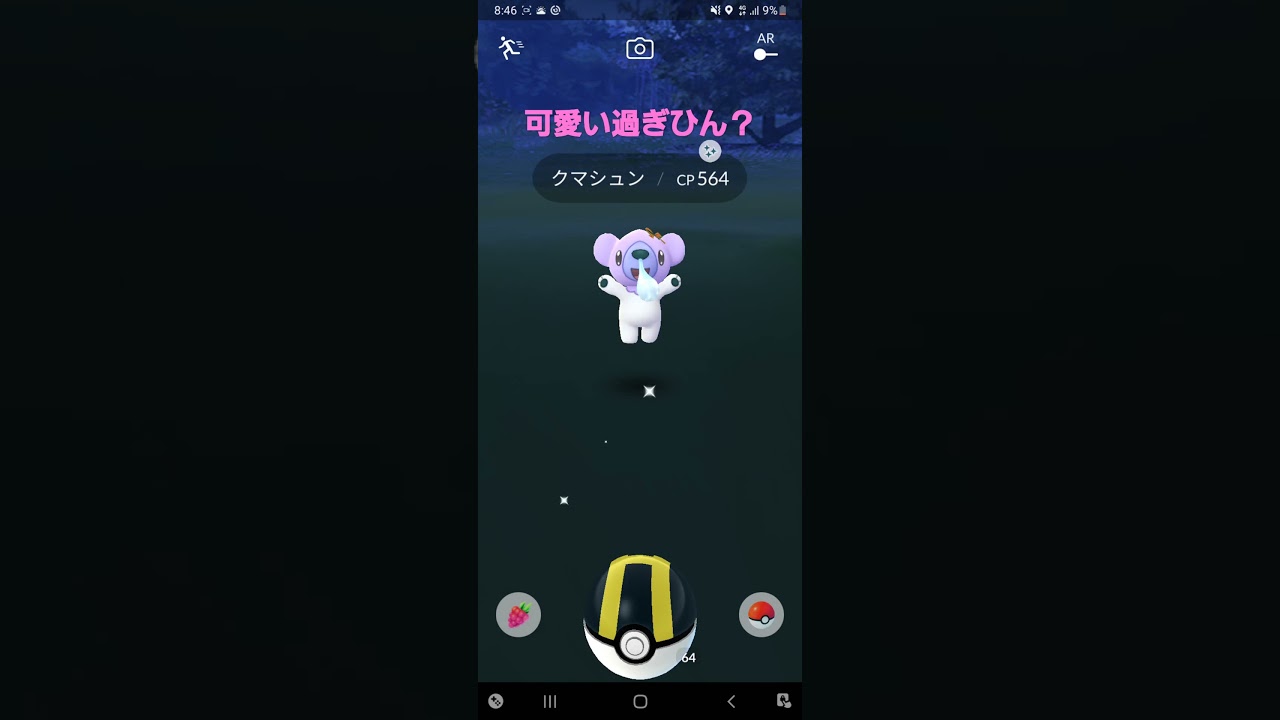 【ポケモンGO】クマシュン色違い出ました。#色違い  #ポケモンGO  #PokémonGO  【暁月】