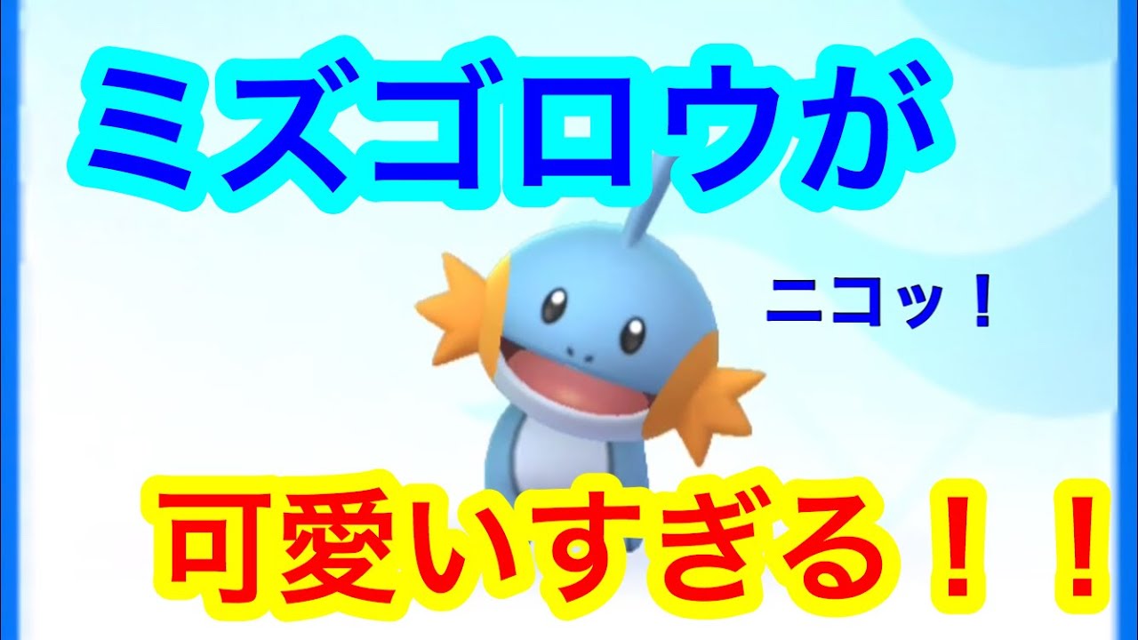 ミズゴロウが可愛すぎる！！ひたすらにミズゴロウを愛でる動画です！！