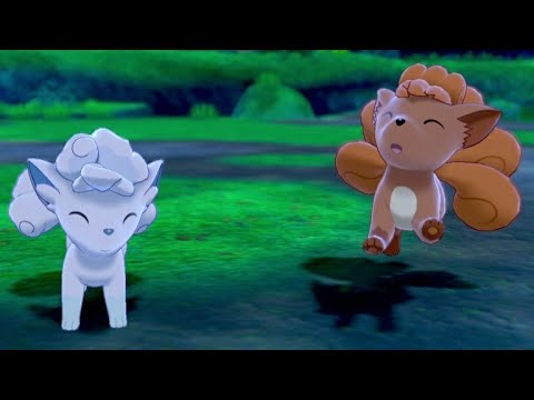 【ポケモン剣盾】ロコンとアローラロコンが可愛い