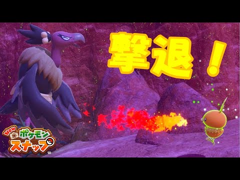 カラリ荒野のアチャモがバルジーナを克服【Newポケモンスナップ/ゆっくり実況】