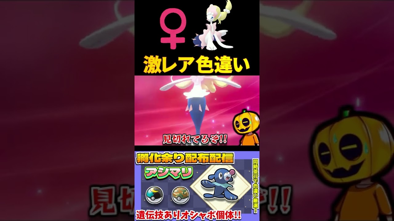 【ポケモン剣盾】2体目アシマリ色違い厳選で激レア女の子アシレーヌGET!? 美白過ぎて美しい!!【色違い厳選】【色違いポケモン】【配信切り抜き】#Shorts