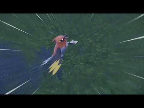 【ポケモンSV】素早さ努力値稼ぎにおすすめ！ヒノヤコマの出現場所・行き方【スカーレットバイオレット】