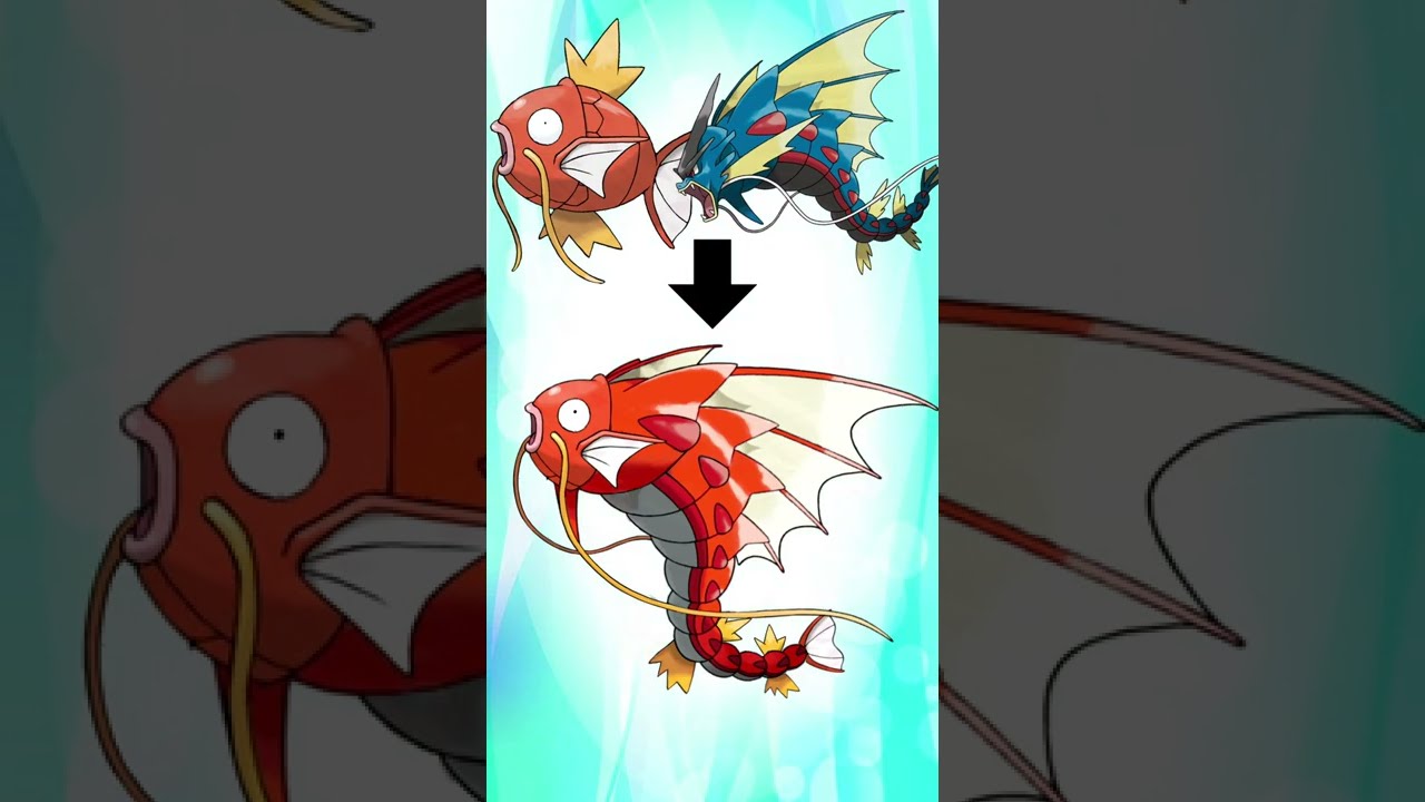 ギャラドスをすっ飛ばしてメガ進化したコイキング【合成ポケモン】