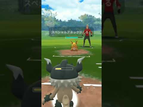 【ポケモンGO】GBLねこパーティで勝ちたい！ニャイキング・ニャオニクス♀・ニューラ #shorts