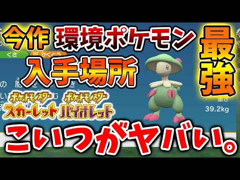【ポケモンSV】今作ナンバーワンの最強ポケモン「キノガッサ」の入手方法・進化前のキノココはここに出現するぞ【スカーレット/バイオレット/攻略/実況/アプデ/環境ポケモン/対戦/ランクマ/キノコのほうし
