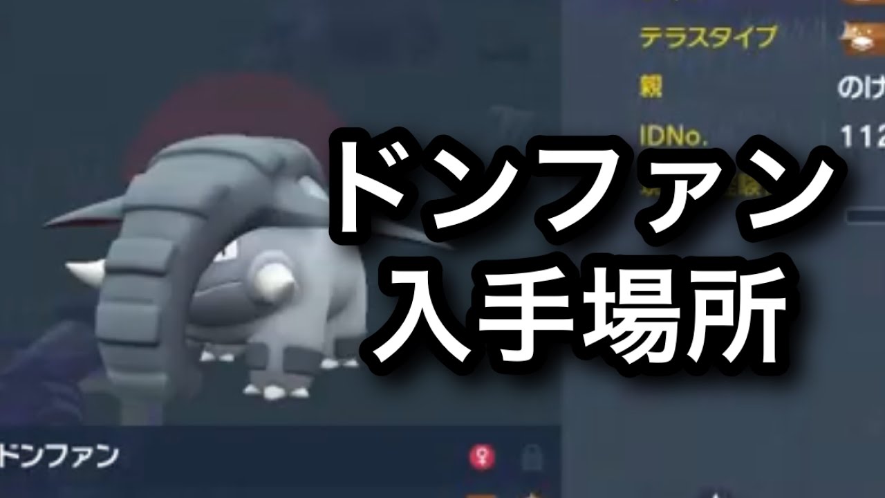 【SV】ドンファン入手場所