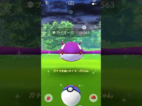 野生の色違いカイオーガ出現！ - ポケモンGO #shorts