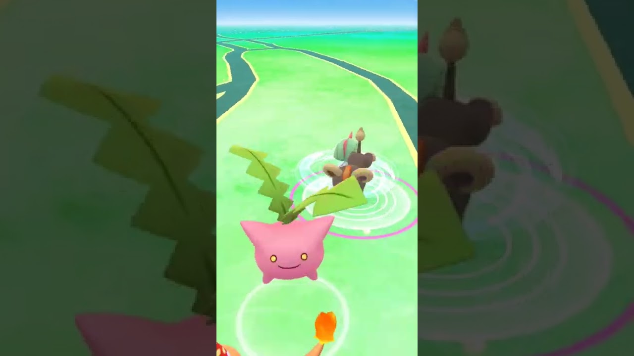 今頃色違いシシコ出た