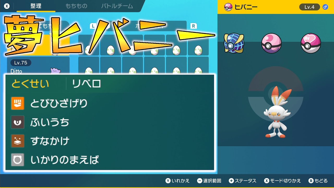 【ポケモンSV】夢ヒバニー配布（ようき、ウルボ・ラブボ・ドリボ、タマゴ技有）【せう】