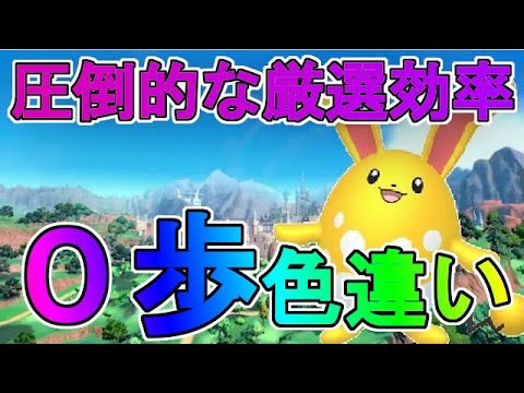 【ポケモンsv】０歩色違い厳選！マリル＆マリルリのおすすめ入手場所！見てるだけでお手軽ゲット！