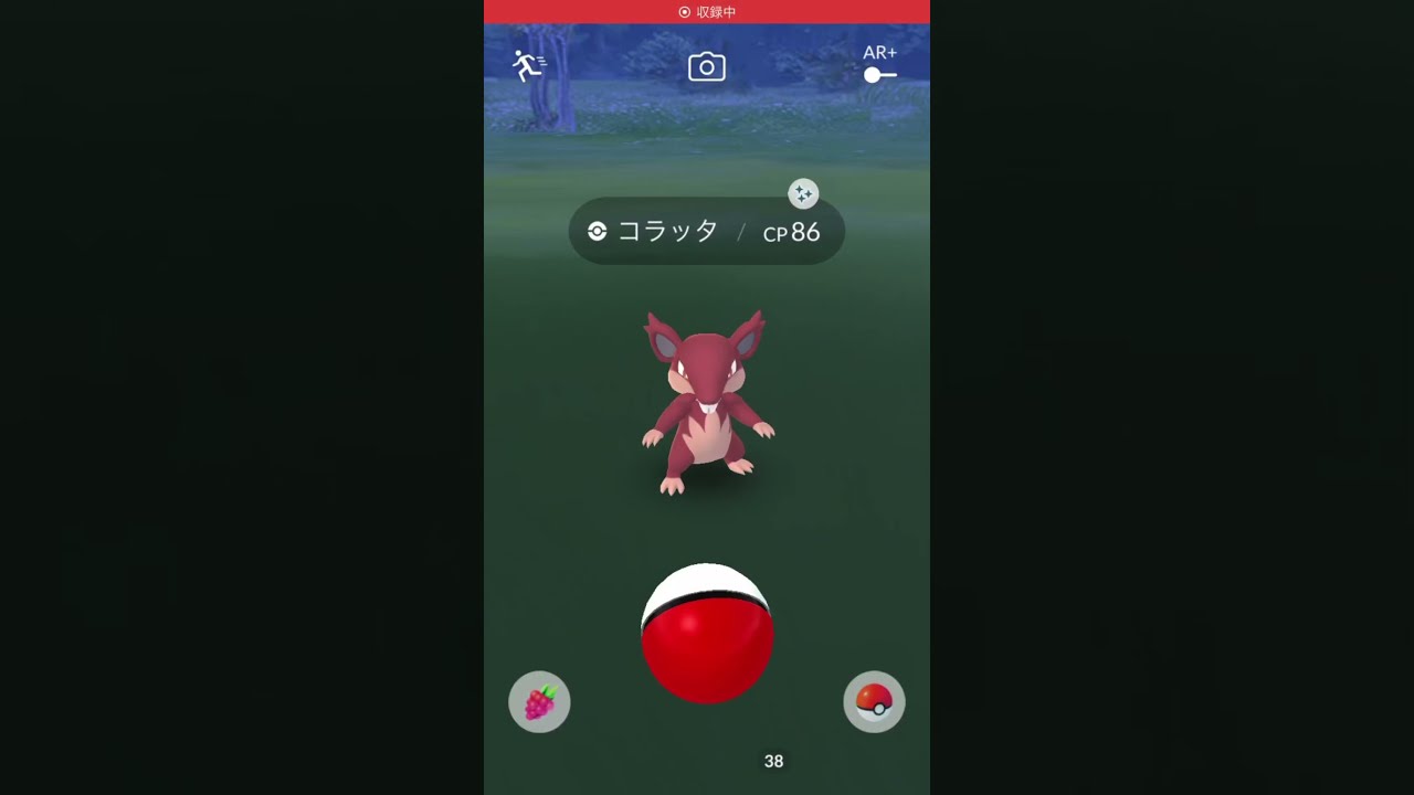 ポケモンGo コラッタ　色違い！Pokémon GO