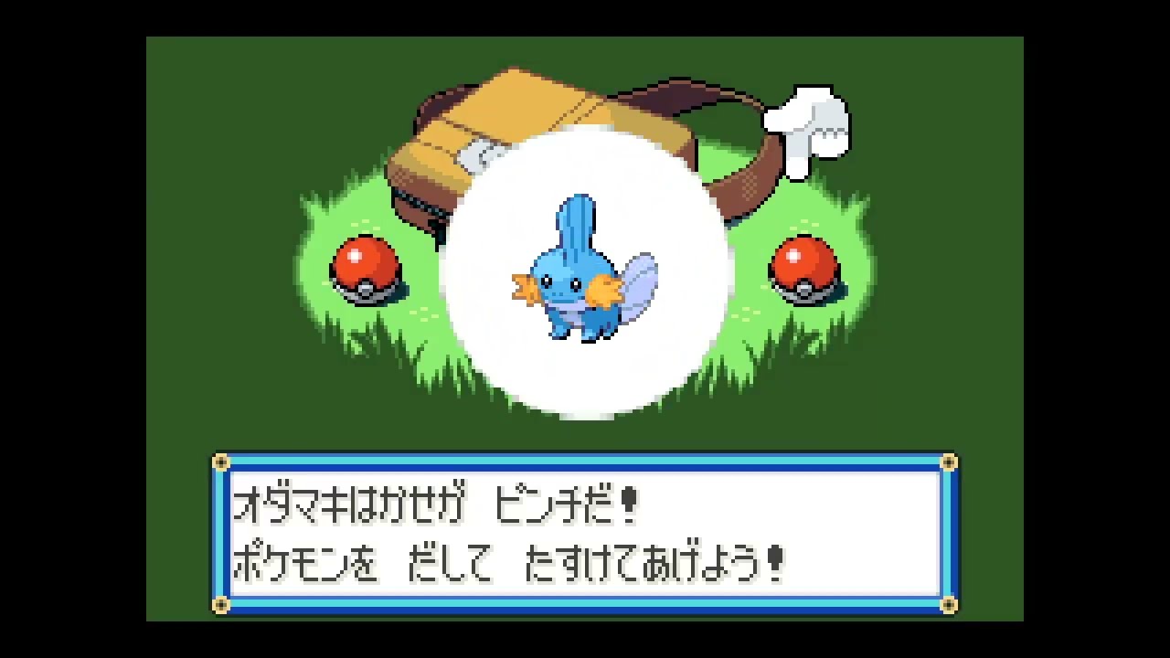 ポケモンルビー　VS野生のポチエナ