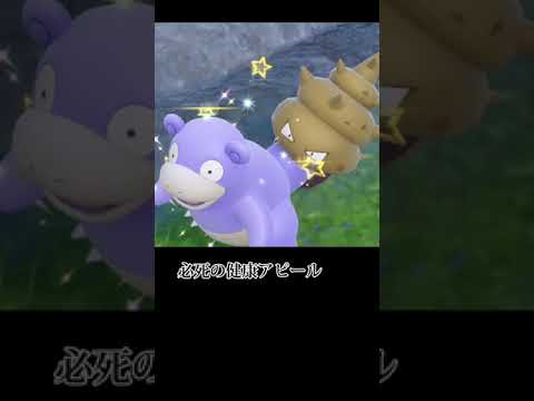 光るヤドラン 遭遇の瞬間