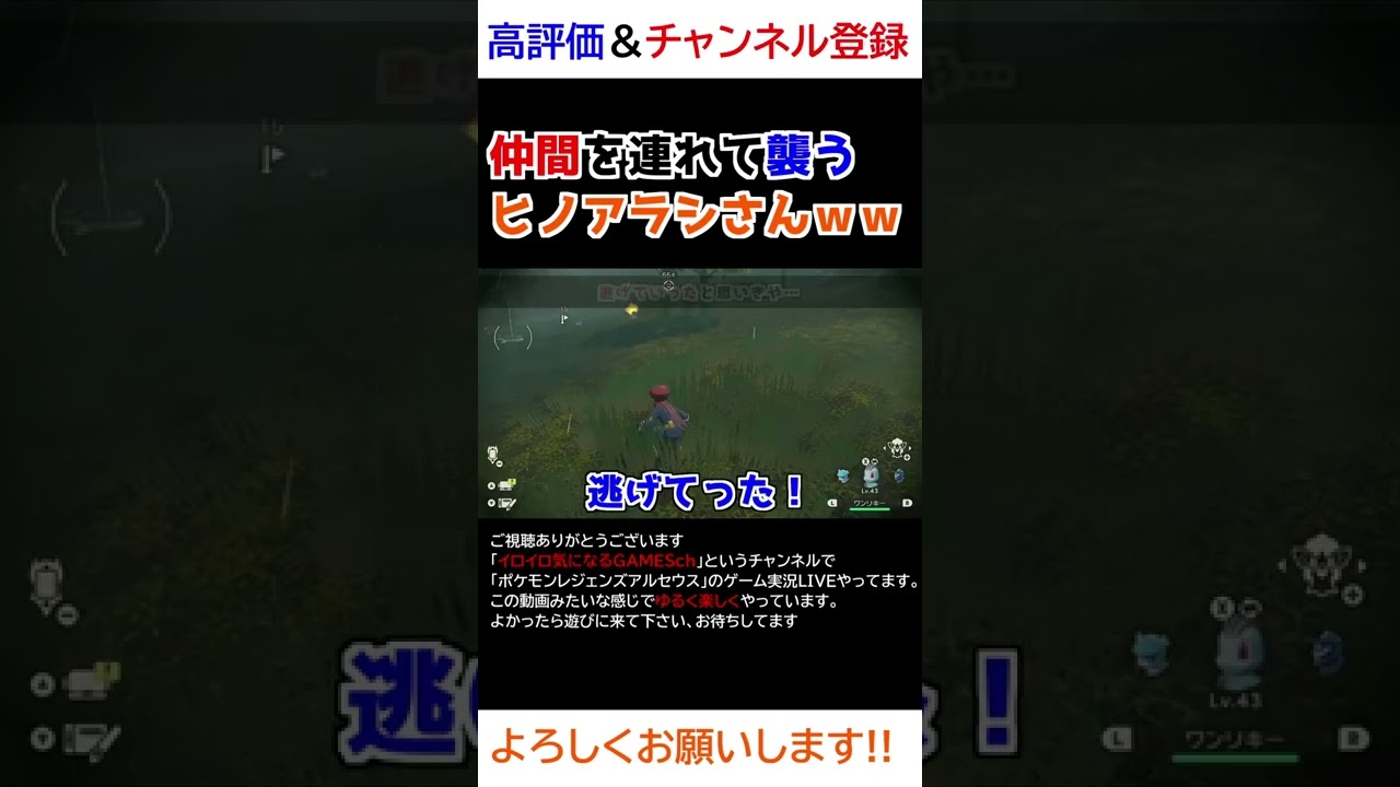 仲間を連れて襲うヒノアラシさんｗｗｗ【Pokémon LEGENDS アルセウス】