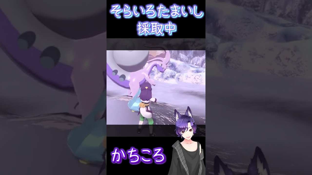 飛び出す色違いカチコールに焦るかちこーろ『Pokémon LEGENDS Arceus』#shorts