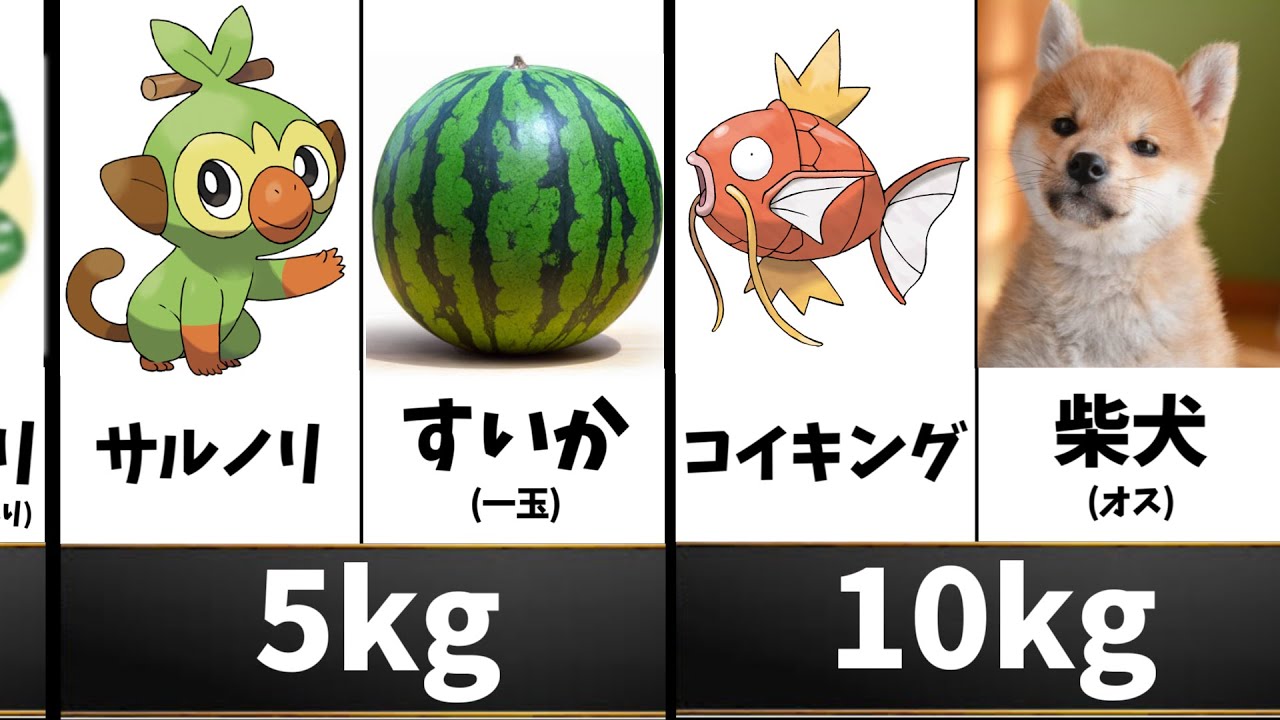 ポケモンでわかる日常の”あらゆる重さ”