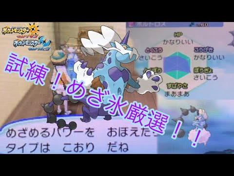 【過去世代の闇】いまさら地獄のめざ氷霊獣ボルトロスを厳選したらしんどすぎた！！【ポケモンusum】