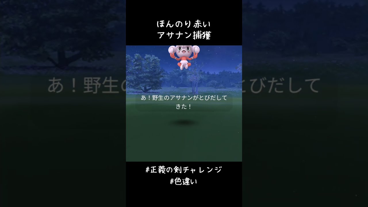 今シーズン最初の色違いは赤いアサナン✨✨✨メガ進化楽しみ🥳赤いビリジオンも欲しかったけどゲットならず😭#ポケモンGO #MythicalWishes #正義の剣チャレンジ #色違い