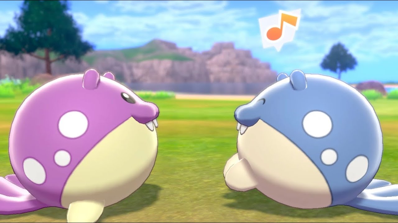 タマザラシとキャンプ♪【ポケモン剣盾】