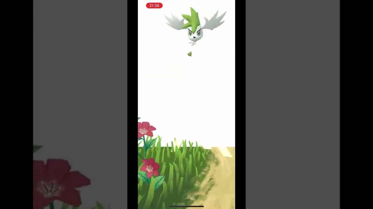 シェイミ(スカイフォルム)GETチャレンジ!!【ポケモンGO】【GOFESTフィナーレ】