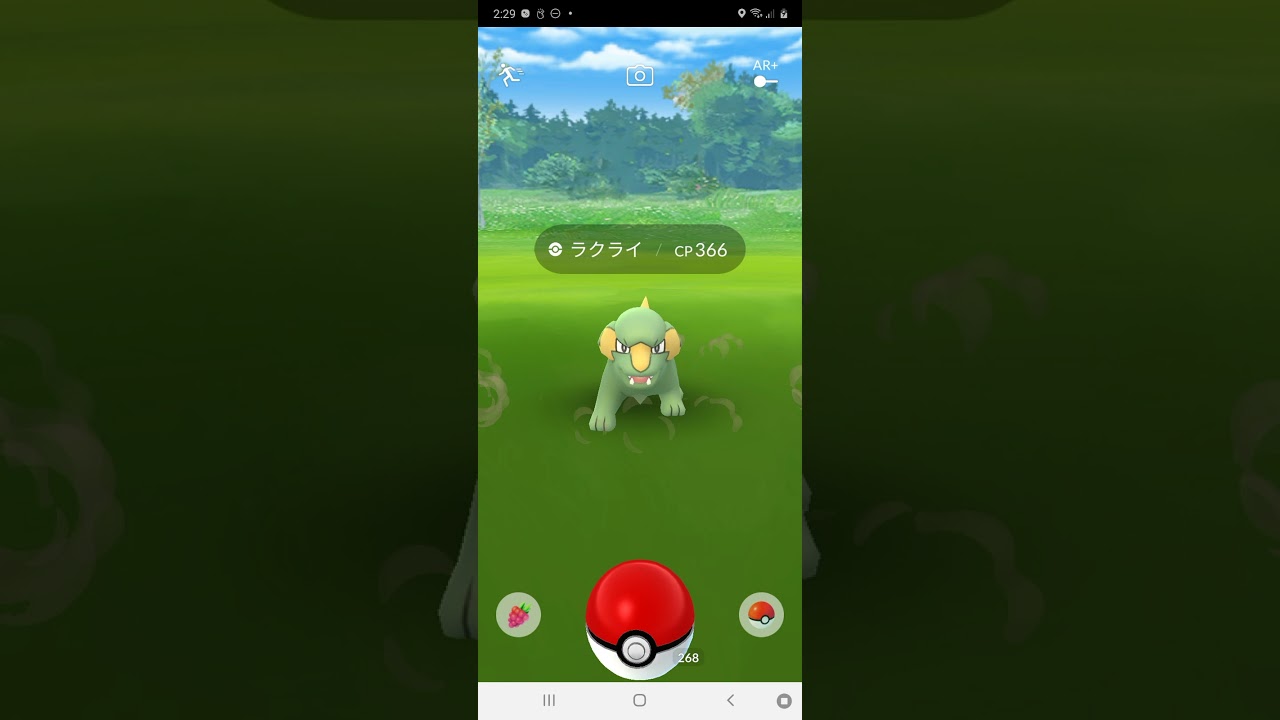 ラクライが庭駆け回るだけ