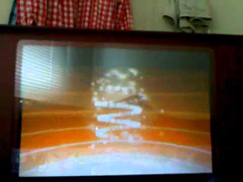 かわいいポカブ（－ω－）